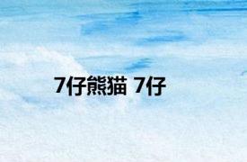 7仔熊猫 7仔 