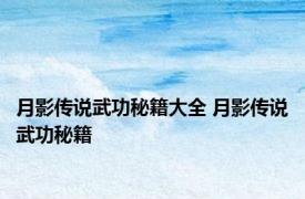月影传说武功秘籍大全 月影传说武功秘籍 