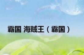 霸国 海贼王（霸国）