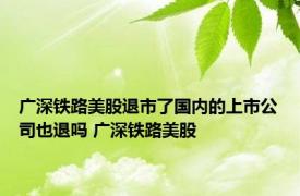广深铁路美股退市了国内的上市公司也退吗 广深铁路美股 