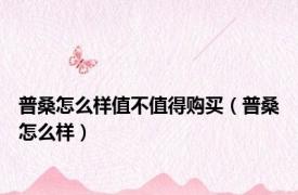 普桑怎么样值不值得购买（普桑怎么样）