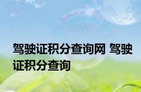 驾驶证积分查询网 驾驶证积分查询 