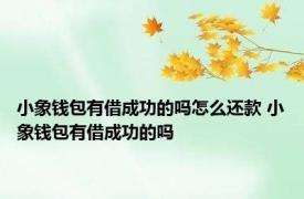 小象钱包有借成功的吗怎么还款 小象钱包有借成功的吗 