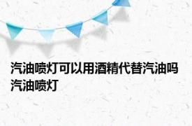 汽油喷灯可以用酒精代替汽油吗 汽油喷灯 