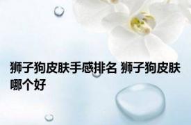 狮子狗皮肤手感排名 狮子狗皮肤哪个好 