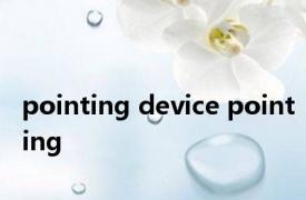 pointing device pointing 