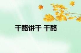 干酪饼干 干酪 