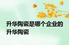 升华陶瓷是哪个企业的 升华陶瓷 