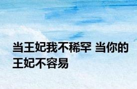 当王妃我不稀罕 当你的王妃不容易 