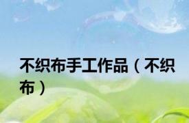 不织布手工作品（不织布）
