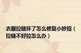 衣服拉链坏了怎么修复小妙招（拉链不好拉怎么办）