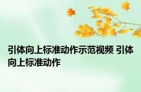 引体向上标准动作示范视频 引体向上标准动作 