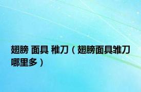 翅膀 面具 稚刀（翅膀面具雏刀哪里多）