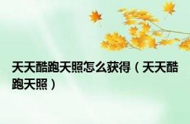 天天酷跑天照怎么获得（天天酷跑天照）