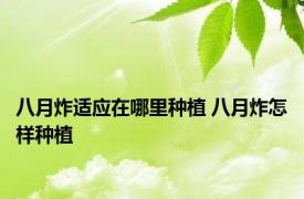 八月炸适应在哪里种植 八月炸怎样种植 