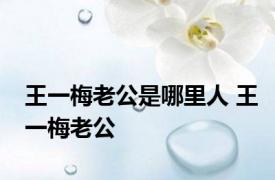 王一梅老公是哪里人 王一梅老公 