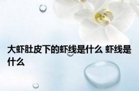 大虾肚皮下的虾线是什么 虾线是什么 