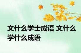 文什么学士成语 文什么学什么成语 