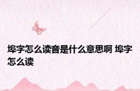 埠字怎么读音是什么意思啊 埠字怎么读 