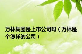 万林集团是上市公司吗（万林是个怎样的公司）