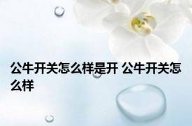 公牛开关怎么样是开 公牛开关怎么样 