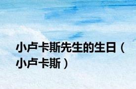 小卢卡斯先生的生日（小卢卡斯）