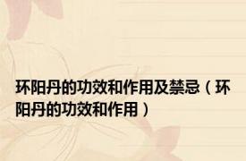 环阳丹的功效和作用及禁忌（环阳丹的功效和作用）