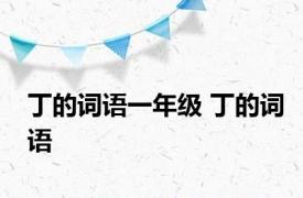 丁的词语一年级 丁的词语 