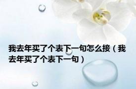 我去年买了个表下一句怎么接（我去年买了个表下一句）