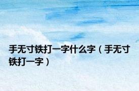手无寸铁打一字什么字（手无寸铁打一字）