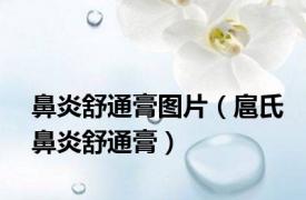 鼻炎舒通膏图片（扈氏鼻炎舒通膏）