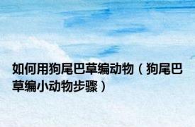 如何用狗尾巴草编动物（狗尾巴草编小动物步骤）