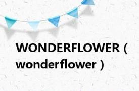 WONDERFLOWER（wonderflower）