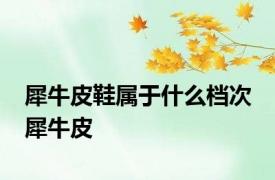 犀牛皮鞋属于什么档次 犀牛皮 