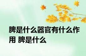 脾是什么器官有什么作用 脾是什么 