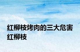 红柳枝烤肉的三大危害 红柳枝 