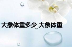 大象体重多少 大象体重 