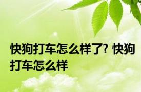 快狗打车怎么样了? 快狗打车怎么样 