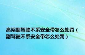 高架副驾驶不系安全带怎么处罚（副驾驶不系安全带怎么处罚）