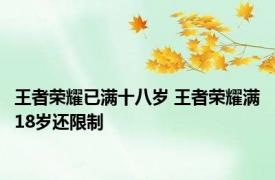王者荣耀已满十八岁 王者荣耀满18岁还限制 