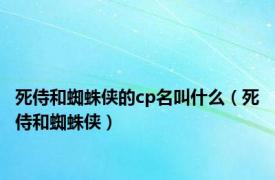 死侍和蜘蛛侠的cp名叫什么（死侍和蜘蛛侠）