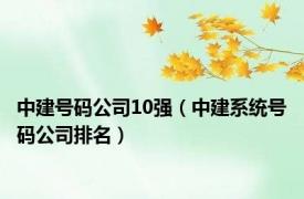 中建号码公司10强（中建系统号码公司排名）