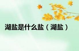 湖盐是什么盐（湖盐）
