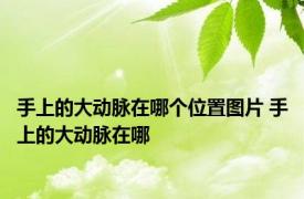 手上的大动脉在哪个位置图片 手上的大动脉在哪 