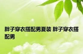 胖子穿衣搭配男夏装 胖子穿衣搭配男 