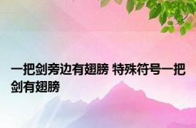 一把剑旁边有翅膀 特殊符号一把剑有翅膀 