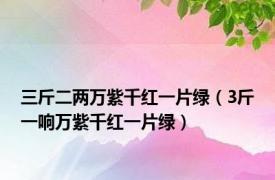 三斤二两万紫千红一片绿（3斤一响万紫千红一片绿）