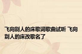 飞向别人的床歌词歌曲试听 飞向别人的床改歌名了 