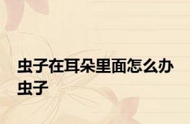 虫子在耳朵里面怎么办 虫子 