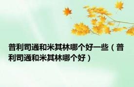 普利司通和米其林哪个好一些（普利司通和米其林哪个好）